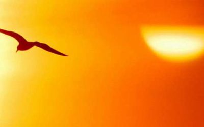 Válj pszichológiai felettivé